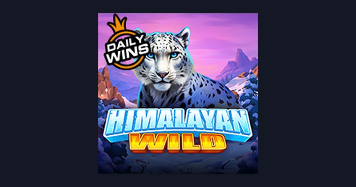 Rahasia Menang Himalayan Wild: Tips Ampuh untuk Pemula Main Slot