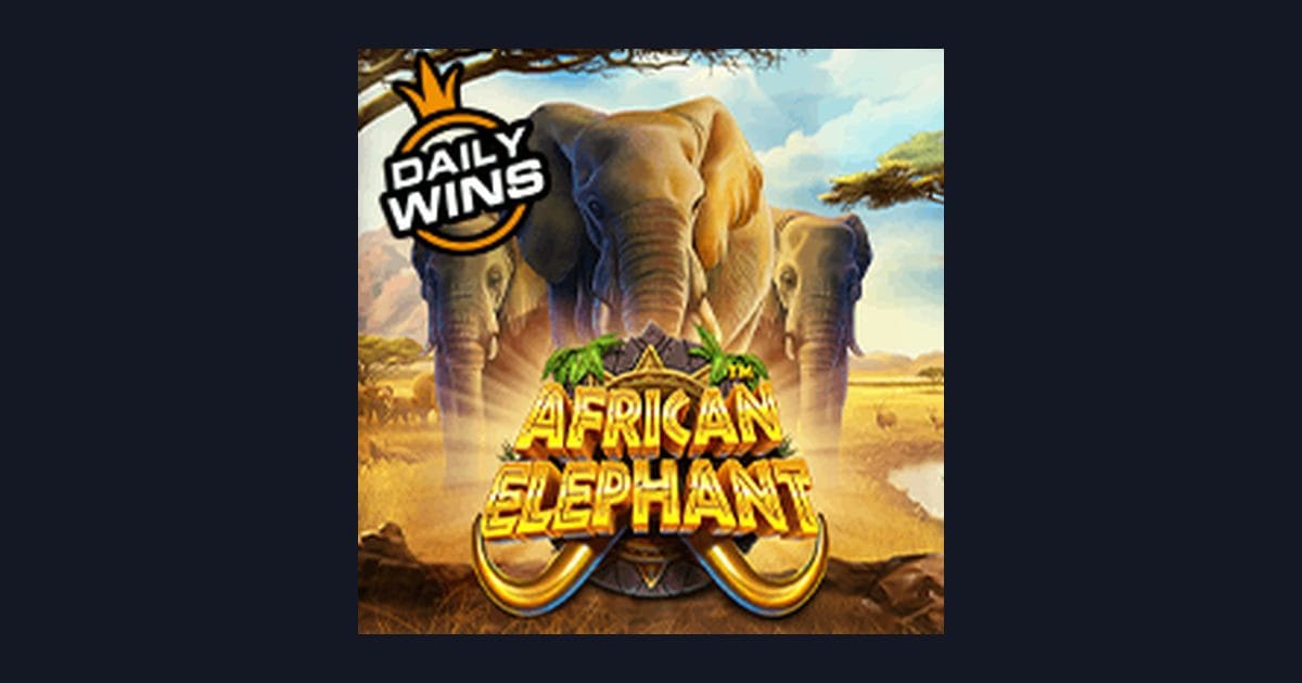Mengupas Fitur & Tingkat Volatilitas African Elephant dari Pragmatic Play